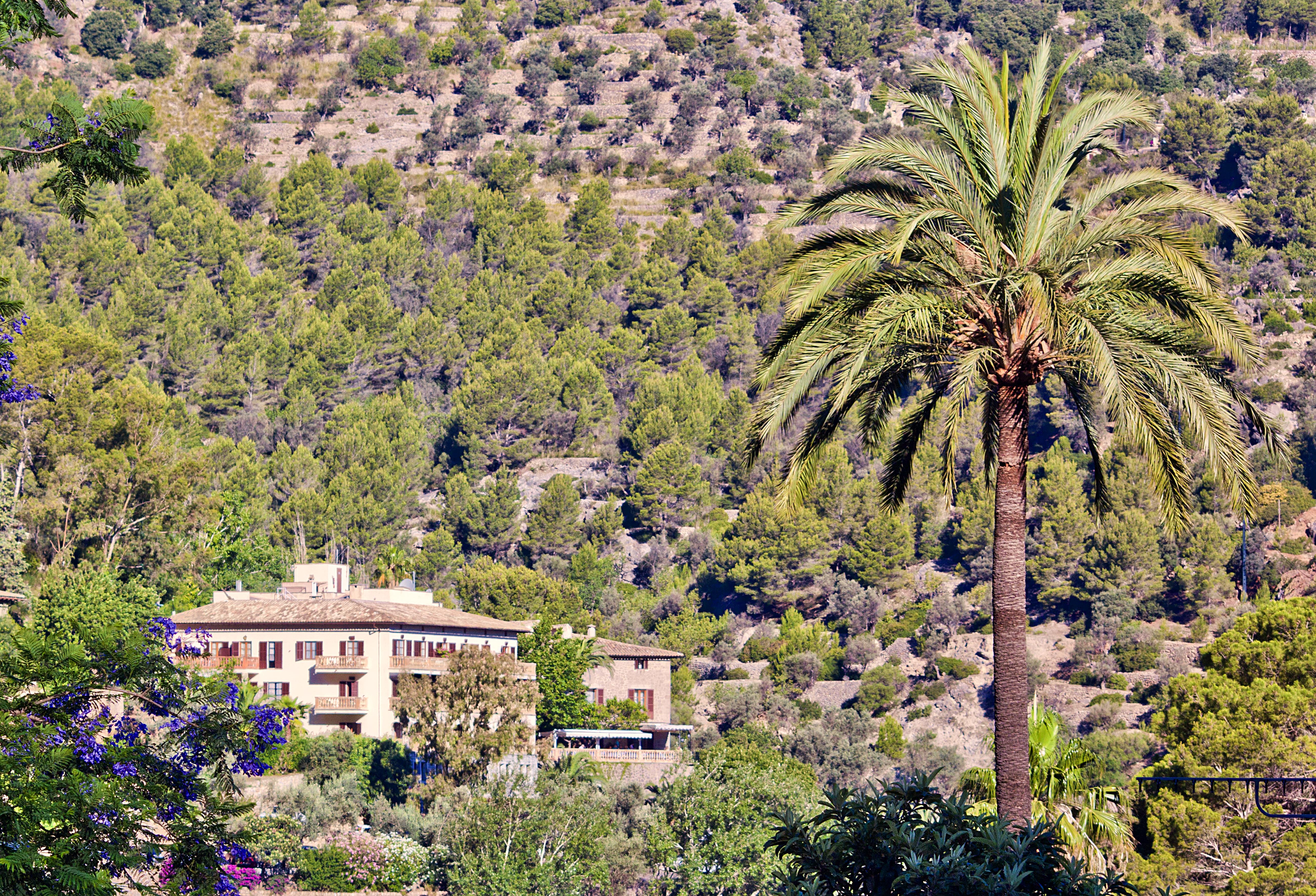 Es Moli Hotel Deia Exterior photo